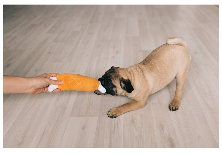 Игрушка для собак Пижон Мягкая косточка, оранжевый, 1шт. - фотография № 6