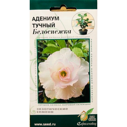 Семена Адениума тучного Белоснежка (3 сем.) семена адениума тучного desert rose манатар 3 сем