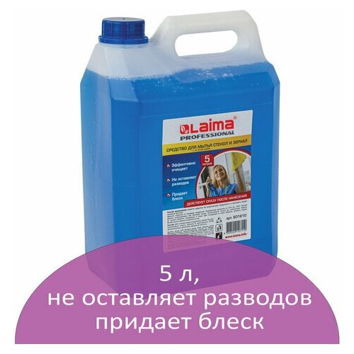 Средство для мытья стекол и зеркал 5 л, комплект 5 шт., лайма PROFESSIONAL, 601610