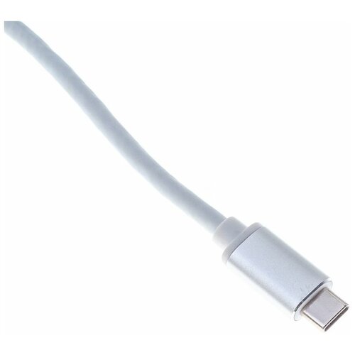BURO Адаптер Buro BHP USB Type-C (m) USB Type-C (f) miniDisplayPort (f) 0.1м серебристый переходник usb 3 1 type c m