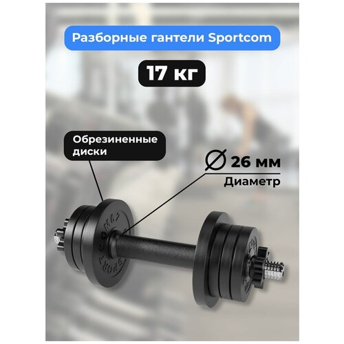 Гантель разборная Sportcom D26 17 кг (вариант №1) гантель разборная sportcom 11 5 кг 26 мм