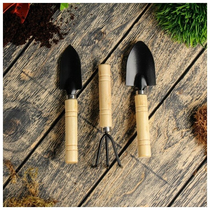 Набор садового инструмента, 3 предмета: рыхлитель, 2 совка, длина 20 см, деревянные ручки - фотография № 1