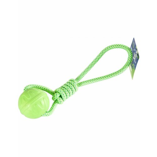 Игрушка для собак Мяч на веревке, термопластичная резина 7*33 см