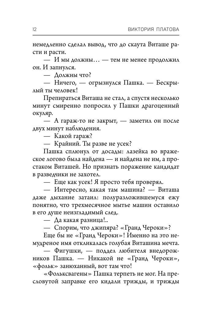 Победный ветер, ясный день (Платова Виктория Евгеньевна) - фото №11