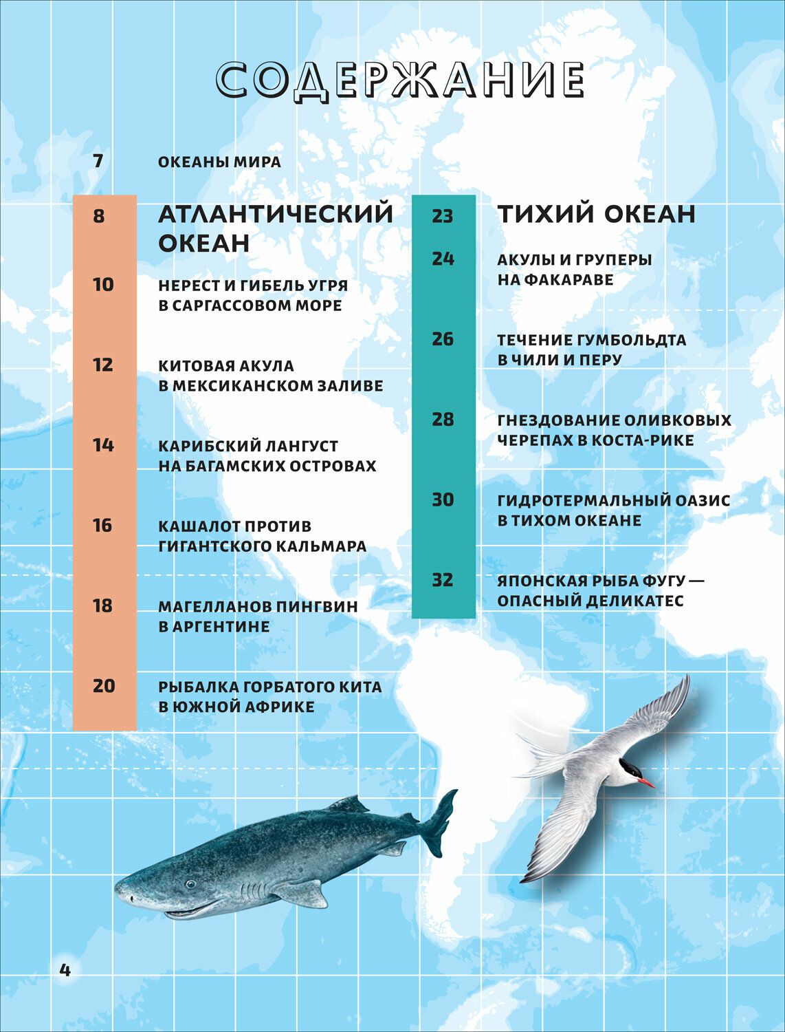 Книга Моря и океаны (Делгадо Консуэло) - фото №2