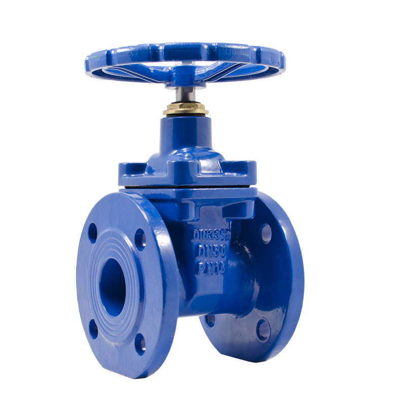 фото Задвижка с обрезиненным клином PN16 DN50