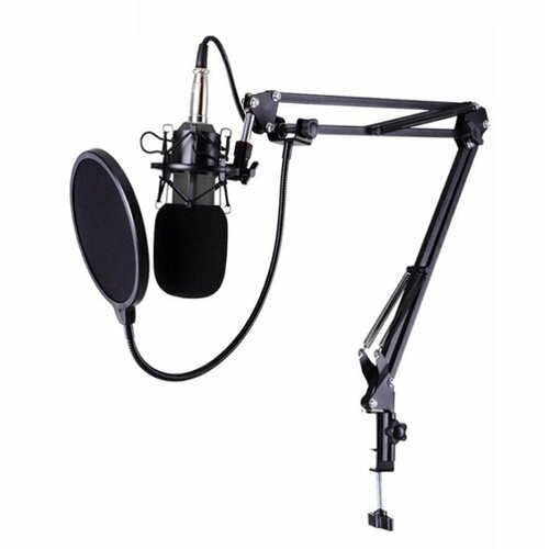 Микрофон студийный BM-800, черный