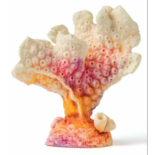 Коралл Акропора персиковый (светящийся) КС-1216