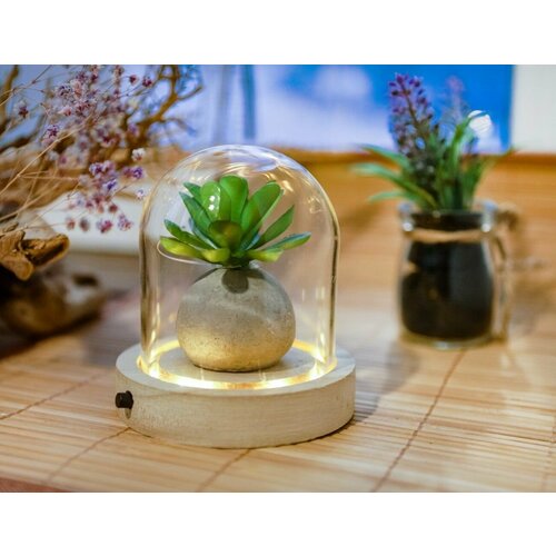 Стеклянный клош на деревянной подставке свет волшебства для декоративных композиций с подсветкой 11 см батарейки 4 SEASONS 29491 1389₽
