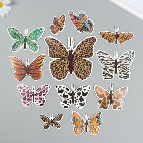 Бабочки картон Шкуры животных набор 12 шт h=4-10 см