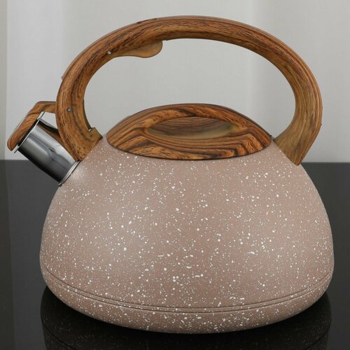 Чайник нержавеющая сталь электрочайник 856800₽