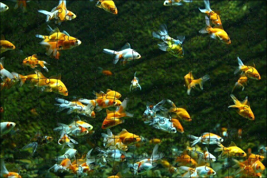 Магнитный пазл "Рыбы, золотые рыбки, рыбки" на холодильник 27 x 18 см.