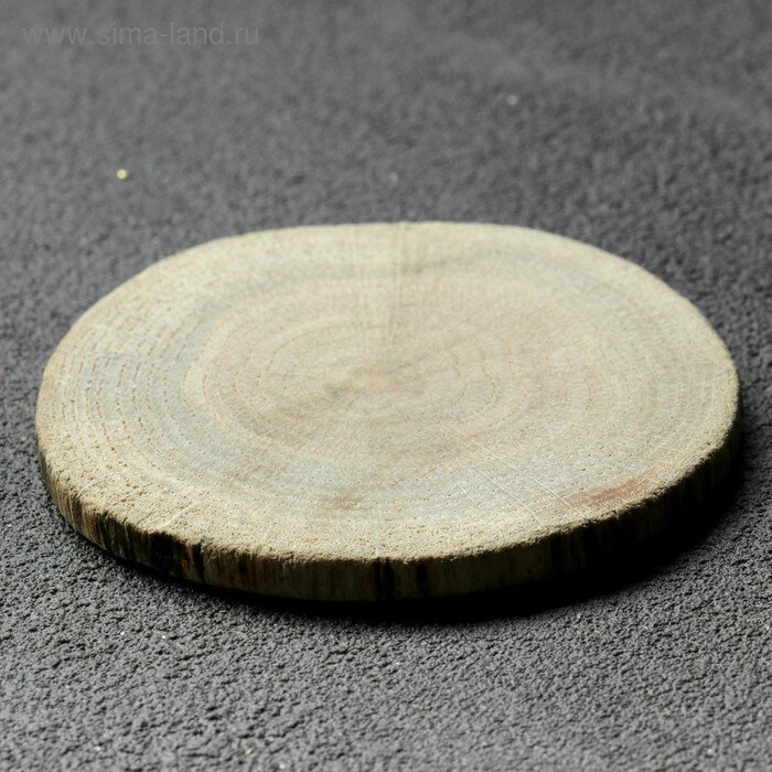 Спил дерева "Дубовый", круглый, d=4-7 см, h=5 мм(50 шт.)