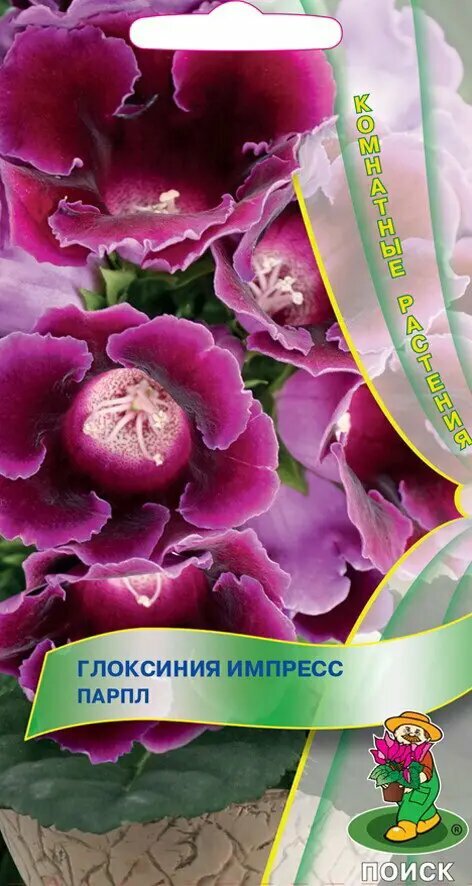 Семена цветов Поиск глоксиния Импресс Парпл 5 шт.