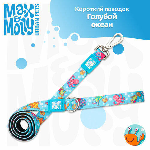 Короткий поводок M Голубой океан Max Molly 2200₽