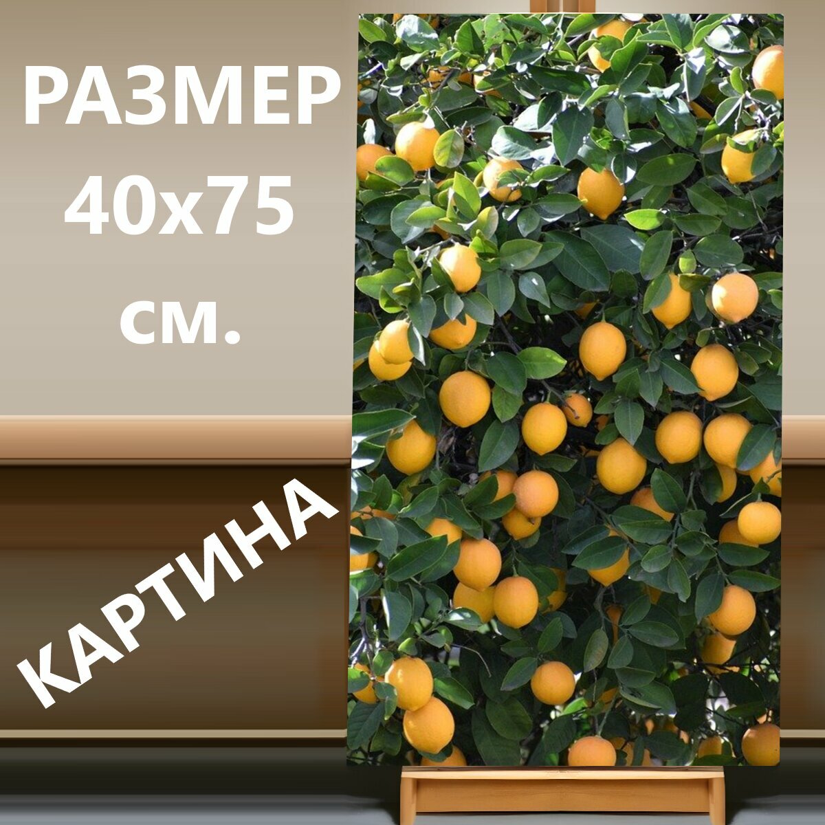 Картина на холсте "Лимон, лимонное дерево, цитрусовые" на подрамнике 40х75 см. для интерьера