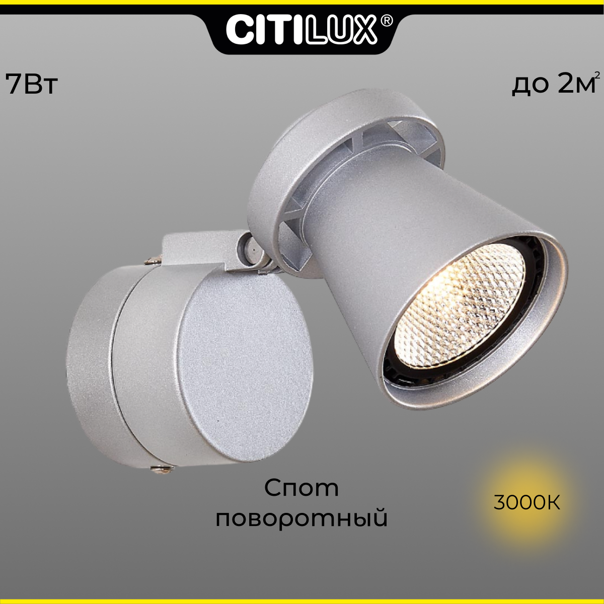 Спот Citilux Дубль-1 CL556511