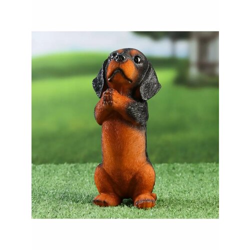 Садовая фигура Попрошайка такса 8х7х19см 1143₽