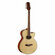 Акустическая гитара Martinez W-02AC N