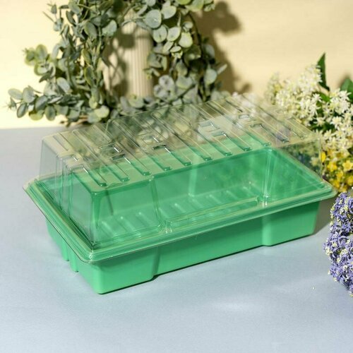 Поддон для рассады с крышкой агроснабритейл 569₽