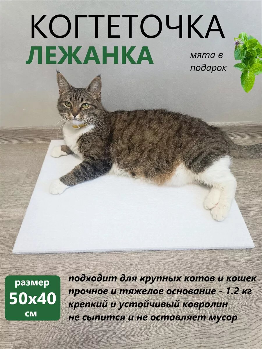 фото Когтеточка МОЦЯ