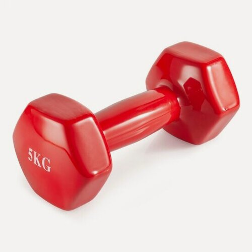 Изображение товара Гантель неразборная Victoryfit 5 кг винил