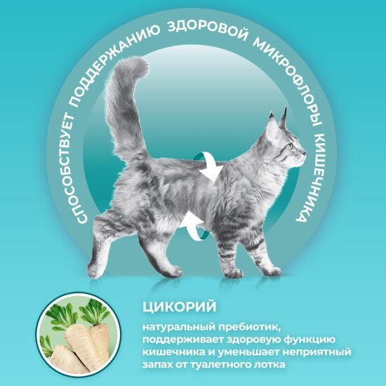 Корм сухой Purina One полнорационный для стерилизованных домашних кошек с высоким содержанием курицы 3 кг — фото 1