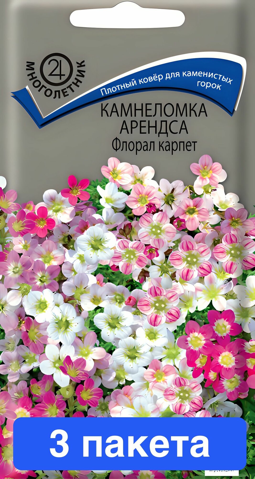 Цветы Камнеломка Арендса Флорал карпет 3 пакета