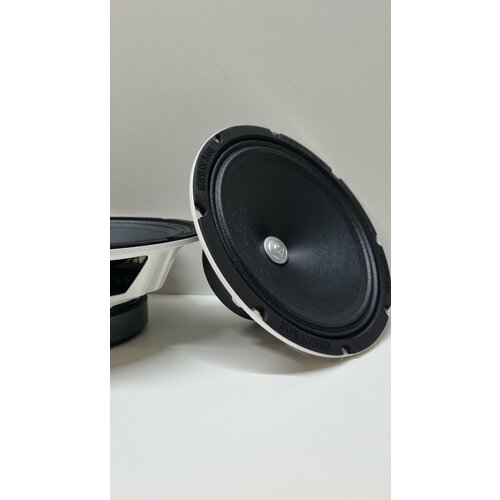 Динамики Эстрадные Russian Bass M165X 4390₽