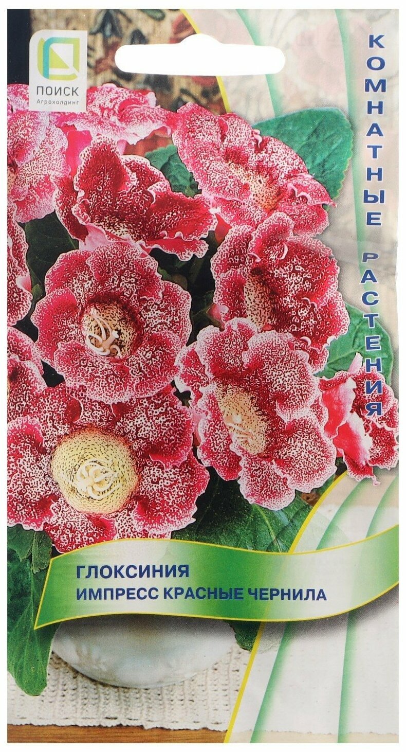 Семена поиск Глоксиния Импресс Красные чернила 5 шт.