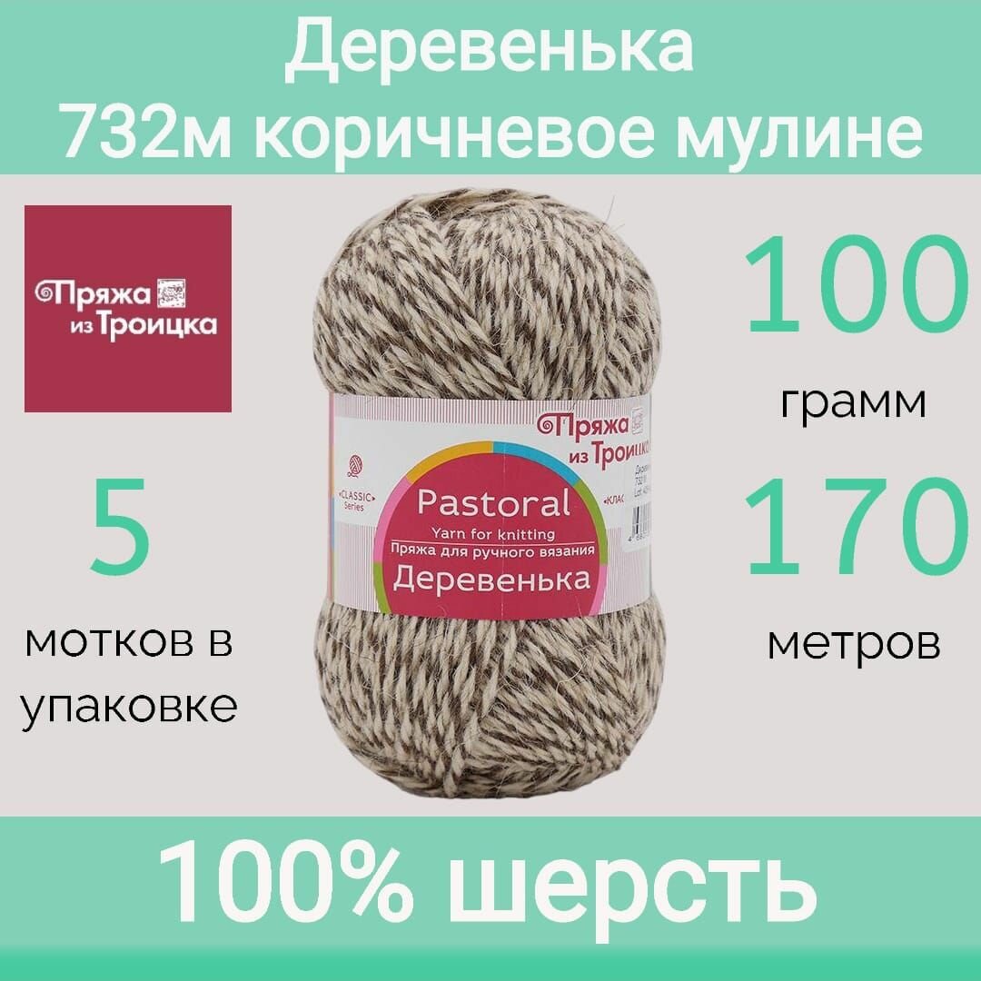 Пряжа Троицкая Деревенька 732 меланж (100г/170м, упаковка 5 мотков)