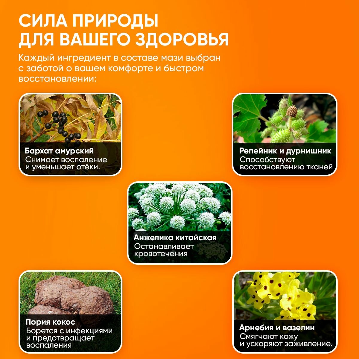 Таблетки При Геморрое Мазь 4HEALTH, геморрой, анальные трещины, крем, 30г
