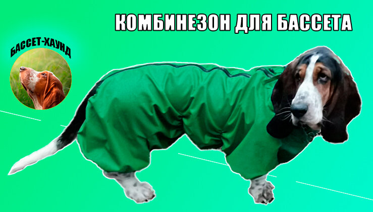Дождевик-комбинезон для бассета суки, повышенной прочности, цвет зеленый камуфляж