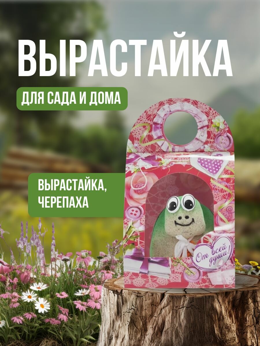 Вырастайка  черепаха