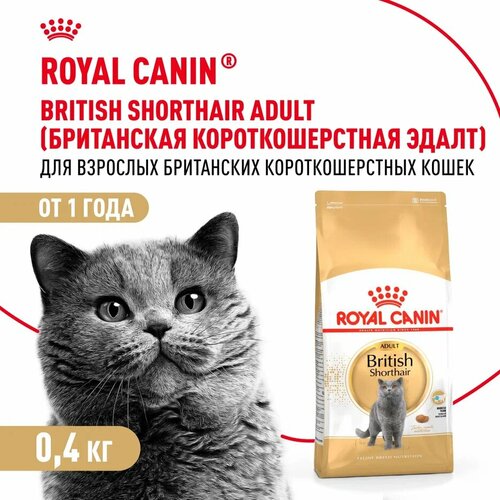 Royal Canin British Shorthair Adult для взрослых кошек британской короткошерстной породы Курица, 400 гр.