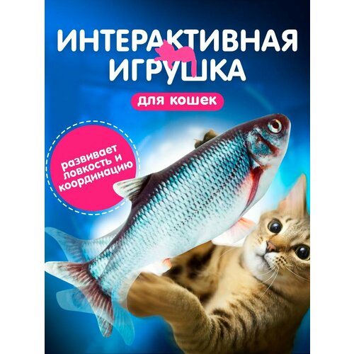 Мягкая игрушка для кошек интерактивная/ рыба механическая/Карась