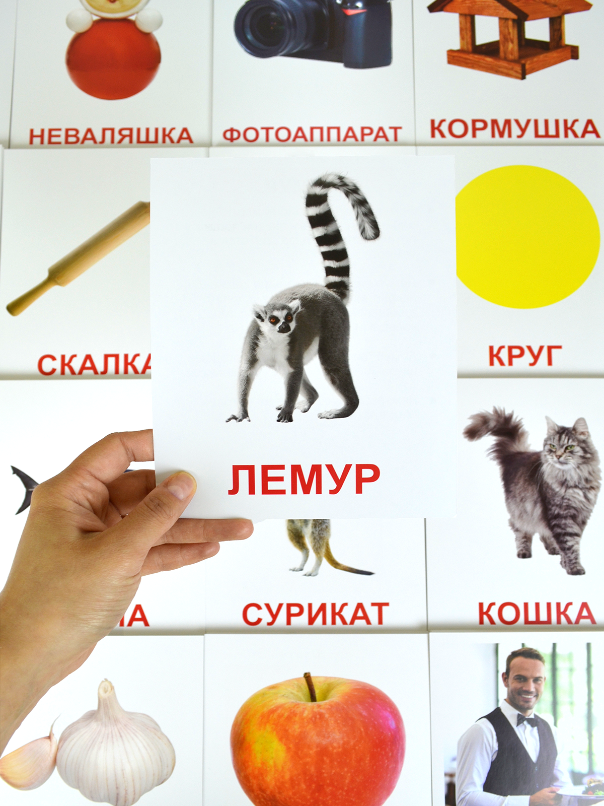 Набор обучающих карточек Домана "Мегабокс" Всезнайка KoroBoom, 375 больших плотных развивающих для самых маленьких с фактами и реалистичными картинками для малышей — фото 1