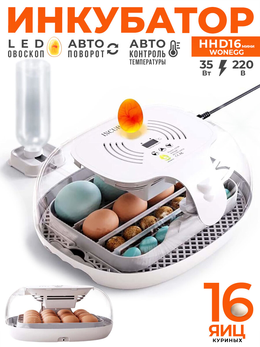 Инкубатор HHD 16 Wonegg мини автоматический для яиц с овоскопом на 16 яиц
