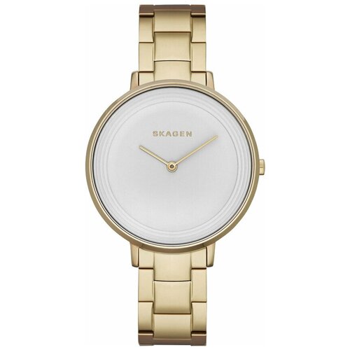 Часы наручные SKAGEN SKW2330