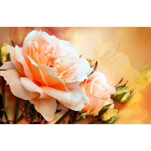 Моющиеся виниловые фотообои Свежая роза, 450х290 см