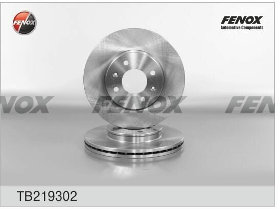 Диск тормозной передний FENOX TB219302 для HYUNDAI Solaris (11-) KIA Rio (11-) 256мм