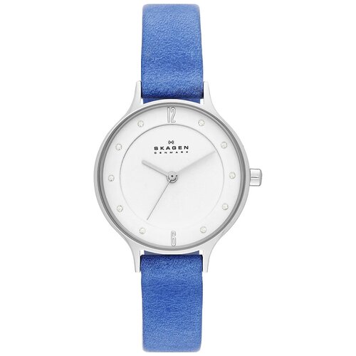 Наручные часы Skagen SKW2173