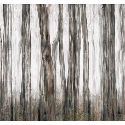 Моющиеся виниловые фотообои GrandPiK Фон. Старые доски и стволы деревьев, 300х280 см