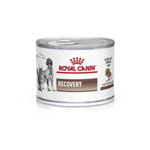 Влажный корм для собак Royal Canin Recovery в период восстановления после операции 1 уп. х 1 шт. х 195 г