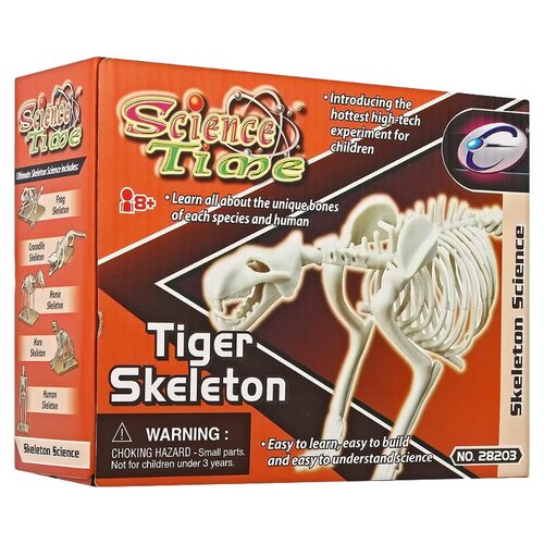 фото Сборная модель "скелет тигра" sciene time 28203 eastcolight