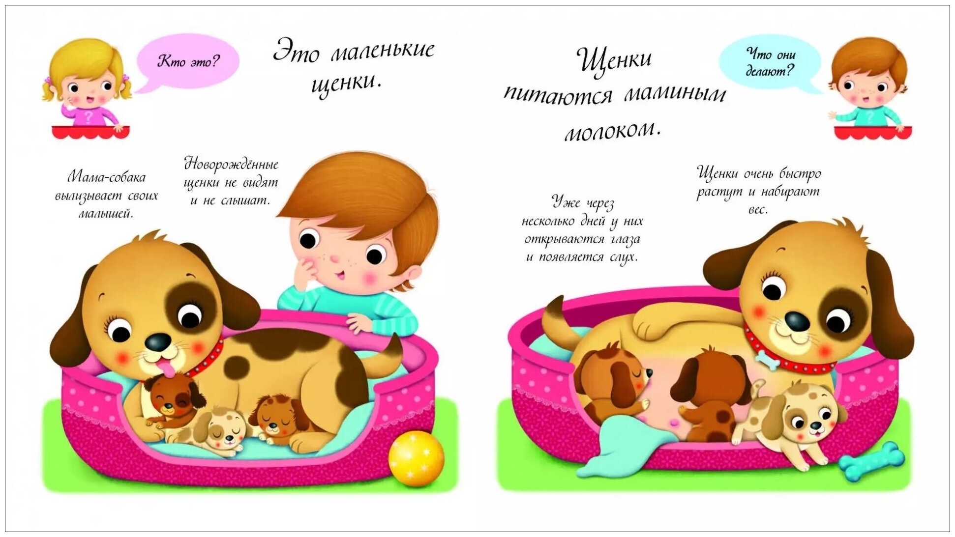 Собаки и щенки (Волченко Юлия Сергеевна (переводчик)) - фото №5