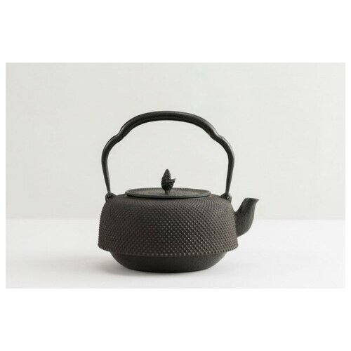 фото Чугунный чайник нанбу текки iwachu 1,8л 2,1кг широкий