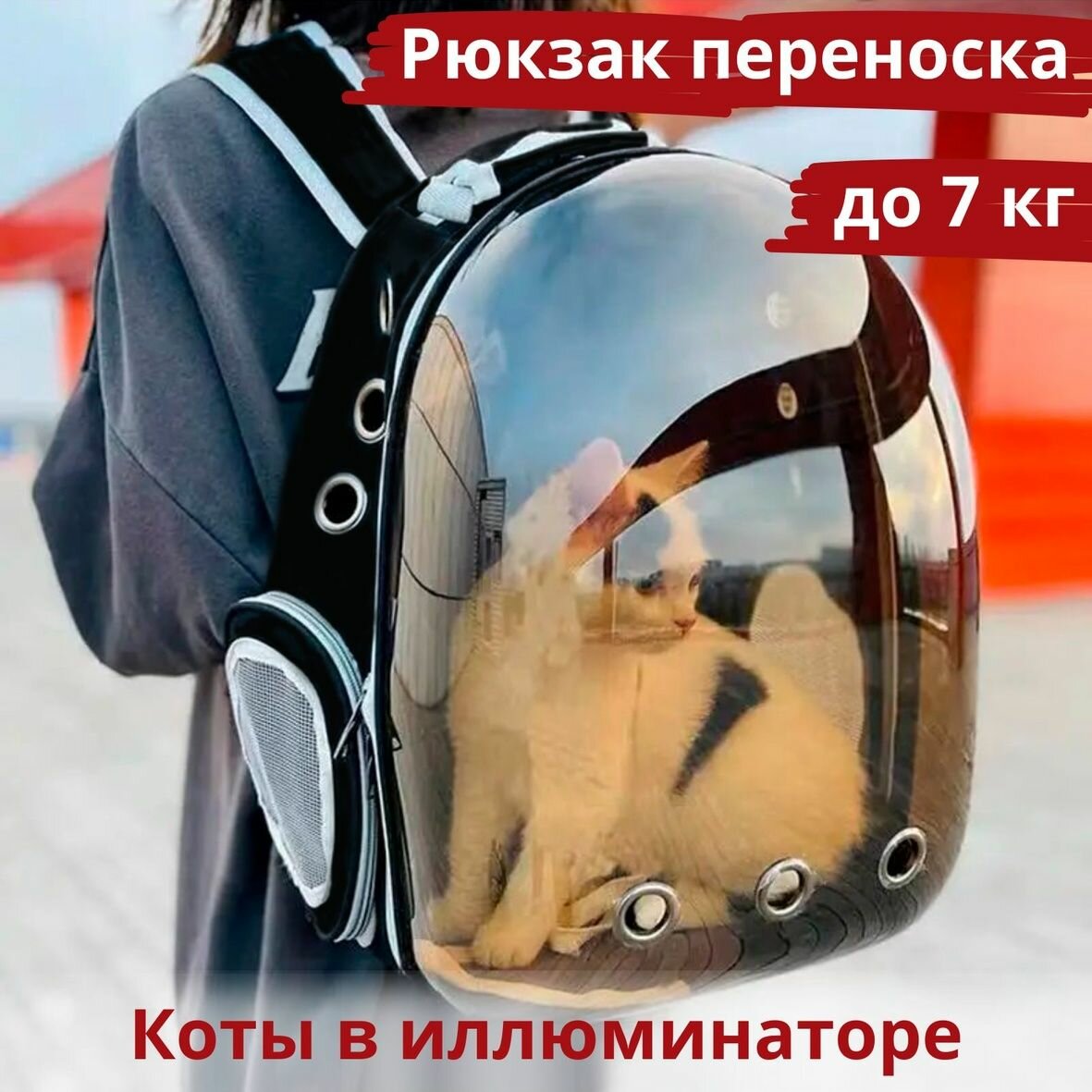 фото Рюкзак переноска, для кошек, для собак, с панорамным видом, с иллюминатором, черный