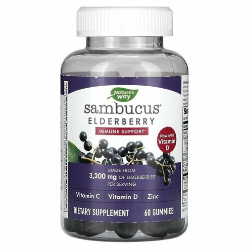 Nature's Way, Sambucus Elderberry, Экстракт бузины для детей и взрослых, 60 жевательных таблеток