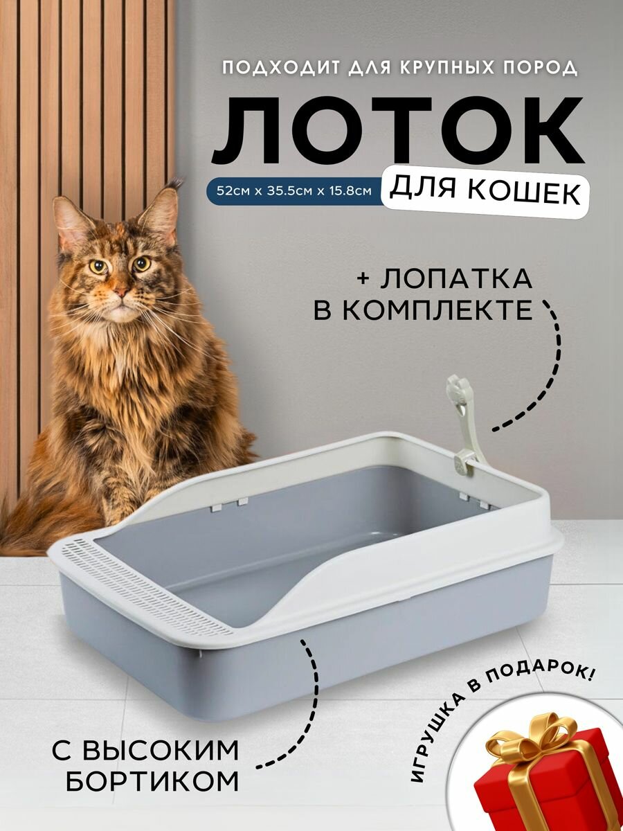 Лоток с бортиками для кошек, собак мелких пород, грызунов